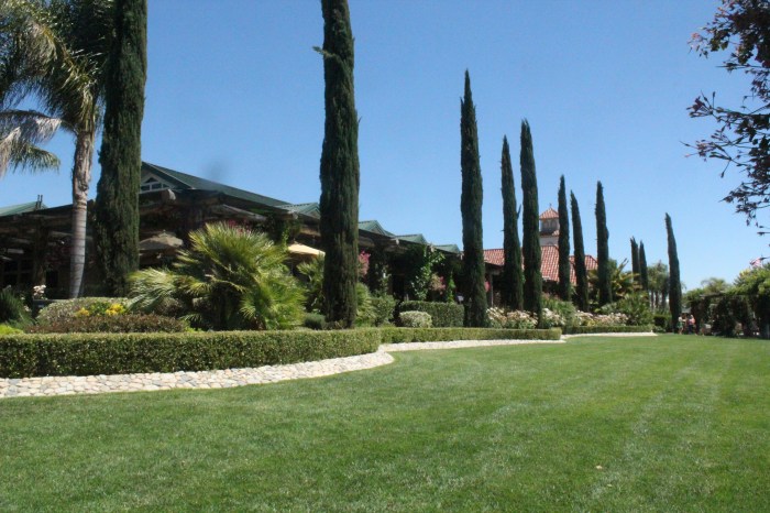 Temecula Balloon and Wine Fest 926